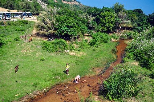Phú Yên ban hành bộ quy tắc ứng xử trong du lịch